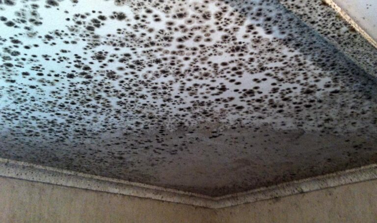 Roof-leak-with-black-mould