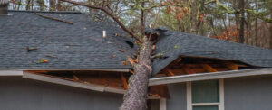 fallen-tree-storm-damage