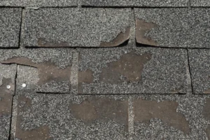 granular-loss-in-roof