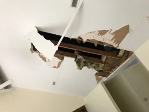 roof leak repair shingles south floriida