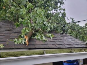 fallen-tree-storm-damage
